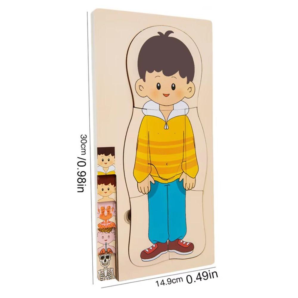 Multi-Layer Wooden Human Body Puzzle Educational Anatomy Jigsaw Cognitive Teaching Aids