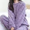 Autumn Women Solid Warm 2 Piece Sets Thicken Velvet Ribbed Fleece Set Pullover and Pants Women Casual Pajama Sets
