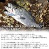 Daiwa Приманка для морского окуня больше, чем LI Charthead Sardine Rage-Fashad 100S-LI