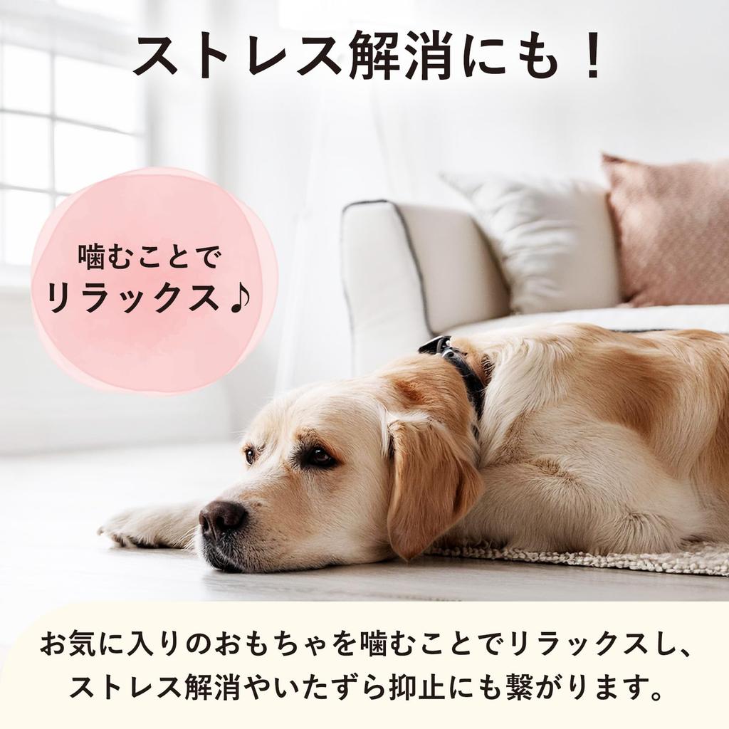 Pet Kenkodo Dog Chew Set of 2 To Large Chews and Helps Brush Treats Bad and Relieves Stress Toys, Dinosaur, (Small Dogs), Squeaks, Teeth, Breath,