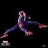 Marvel Legends Series - The Amazing Spider-Man (Spider-Man - Hellfire Gala) Toy