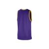 Nike Basketball Jerseys Men's All Over Purple Moderate Other (Unisex) Basketball Jerseys DR2273 504