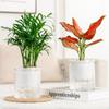 Imitation Glass Aquatic Plant Containers Transparent Green Plant Flowerpot Hydroponic Flowerpot
