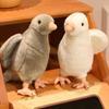 22/30CM Simulation Pigeon Plush Toy Kids Stuffed Pigeon Doll Toddlers Boys Girls Soft Bird Plushie Educational Animal Toy Decoration
