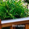 10/20 шт. Пластиковые полоски для отпугивания птиц, шипы для защиты от птиц, садовые ограждения