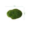 Micro Landscape Decor Artificial Moss Rocks Green Fake Moss Stone  Landscape Design