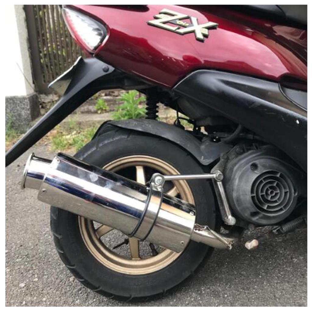 Leihuo Stainless Steel Muffler for Live Dio ZX 50 SR AF34 AF35