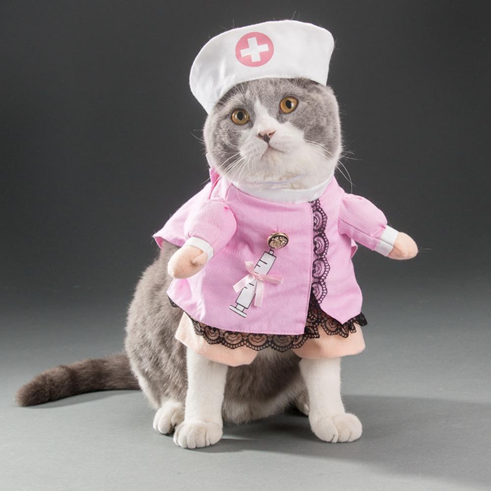 Pet Transformation Dog Funny Funny Standing Pirate Denim Pet Clothing Dog Dog Clothing