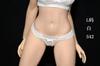 scale GS style action figure compatible with TBLeague body Sexy beautiful woman Lace underwear bra shorts pair and head not [TOYBARJAPAN] 1/6 & (body