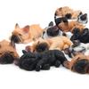 1Pcs French Bulldog Sleep Fridge Magnet Sticker Refrigerator Home Decor Healthy Color Random