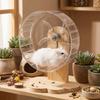 Adjustable Height Hamster Exercise Wheel Wooden Stand Hamster Running Stand  Easy To Disassemble