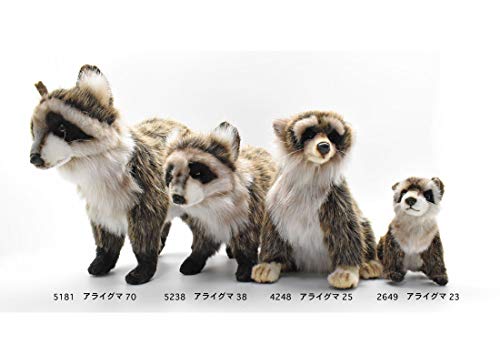 BH4248 HANSA Енот 25