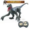 Remote Control Dinosaur Toys for Kids 2.4Ghz RC Dinosaur Robot Toy with Verisimilitude Sound for Kids Boys Girls Children's Gift