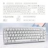 Колпачки для клавиш PBT профиля XDA с японскими символами, 126 шт., молочно-белые, минималистичная тема для кастомизаторов механических клавиатур