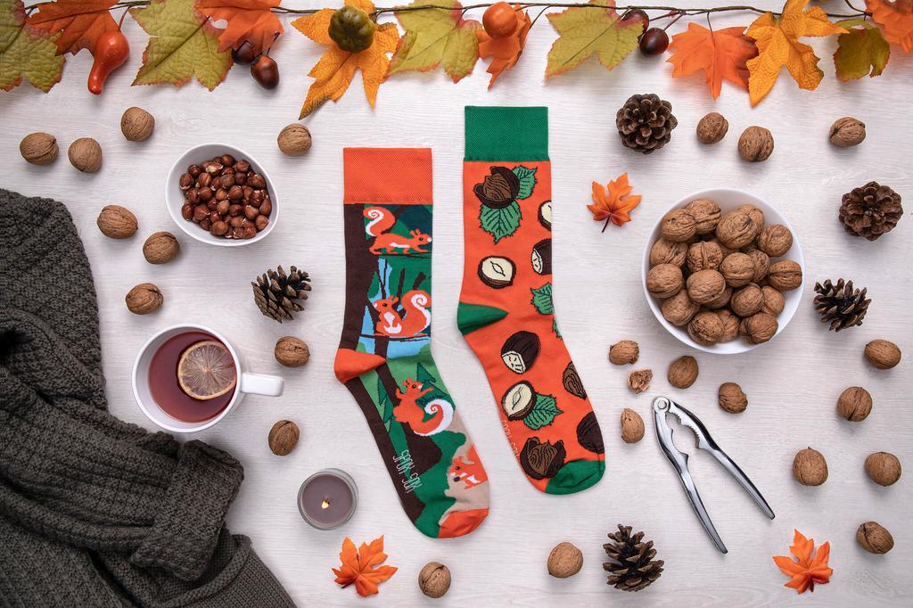 Squirrels - Colorful Socks 40-43