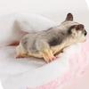 Warm Pet Swing Bag Velvet Sugar Glider Hanging Hammock Guinea Pig Bed Hamster Plush Hammock  Winter
