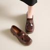 Fashion Women Autumn High Heels Velvet Leather Panels Heels Retro Brown Preppy Loafers Square Toe Block Heel Pumps Lolita Leather Shoes