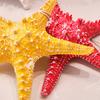 Starfish Hanging Decoration Coastal Starfish Ornament Beach Decor Resin Starfish Pendant for Home Bedroom Living Room Seaside Wedding Background Wall