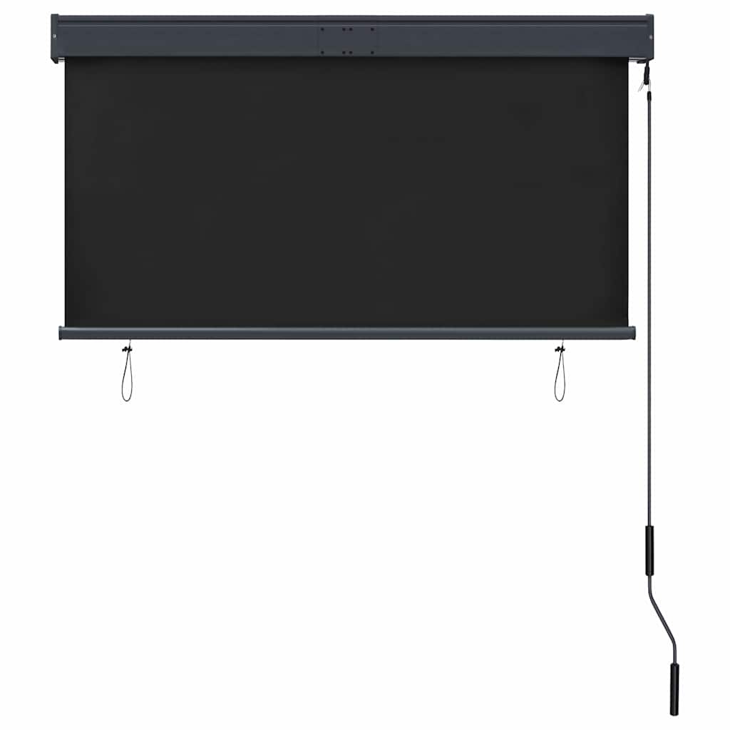 Outdoor Roller Blind 120 x 250 cm Anthracite