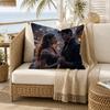 A Acotar A Court of Mist and Fury Pillow Case for Sofa Living Room Home office Decor Protective Cover