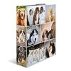 Herma Animals Motif File A4 (Dogs)