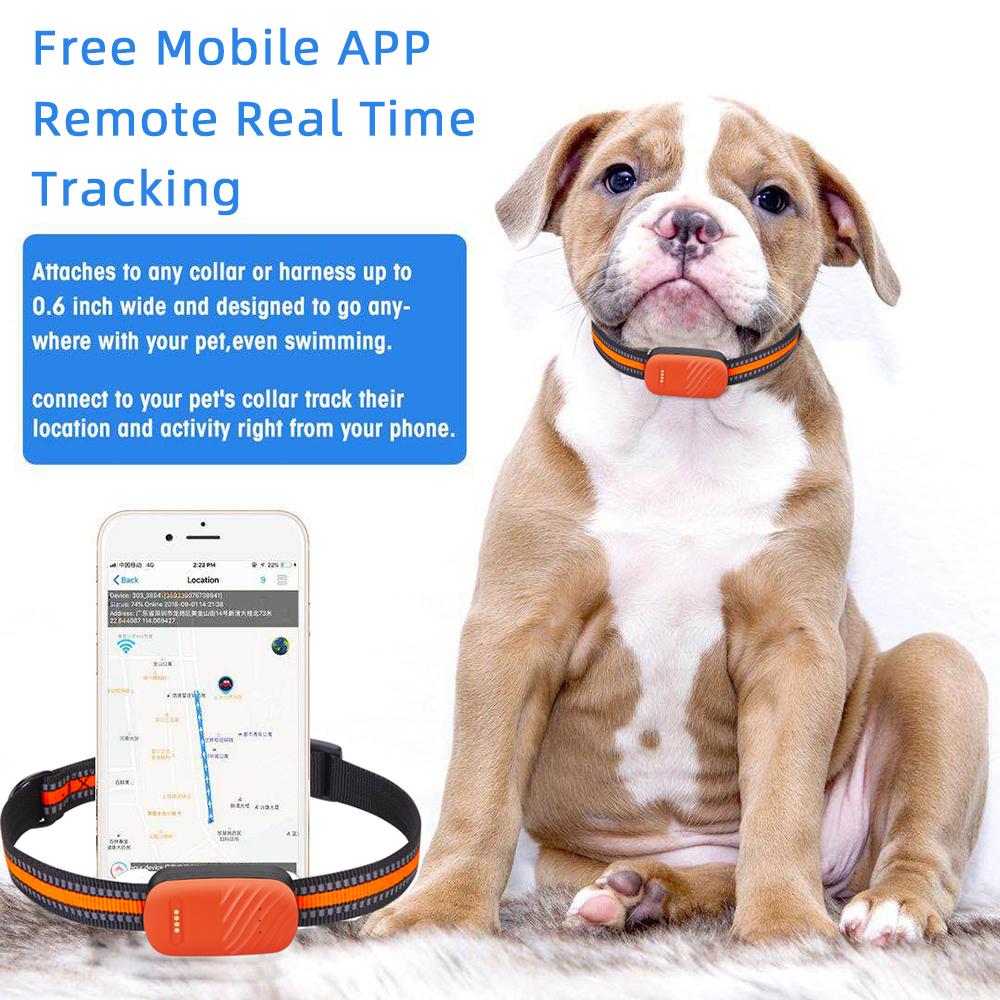 Pet Tracker GPS Waterproof Electronic Fence Dog Collar Lost Prevention Multiple Positioning Modes 90-Day Trajectory Storage Durable Collar
