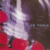 CD BLUE TONIC - Последний сон в синем TECN15270 Baidis 1994 Япония Рок Б/У