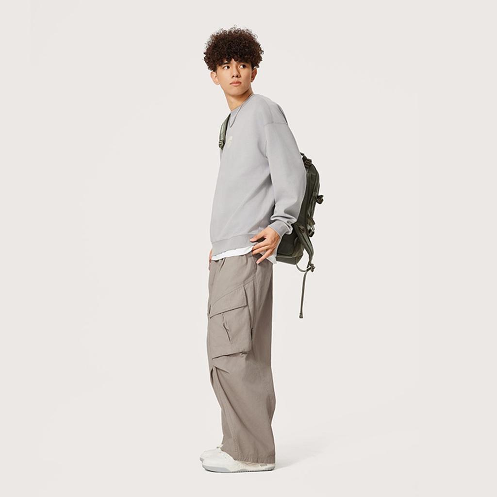 Свитшот мужской Li Ning Sports Life Collection, цвет «Лунный Серый», AWDU609-2
