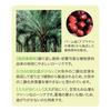 Kameyama Na 10 Candles (300 Candles) - Plant-Based Ingredients - Burns for Approximately 10 Minutes - Low Odor and Soot