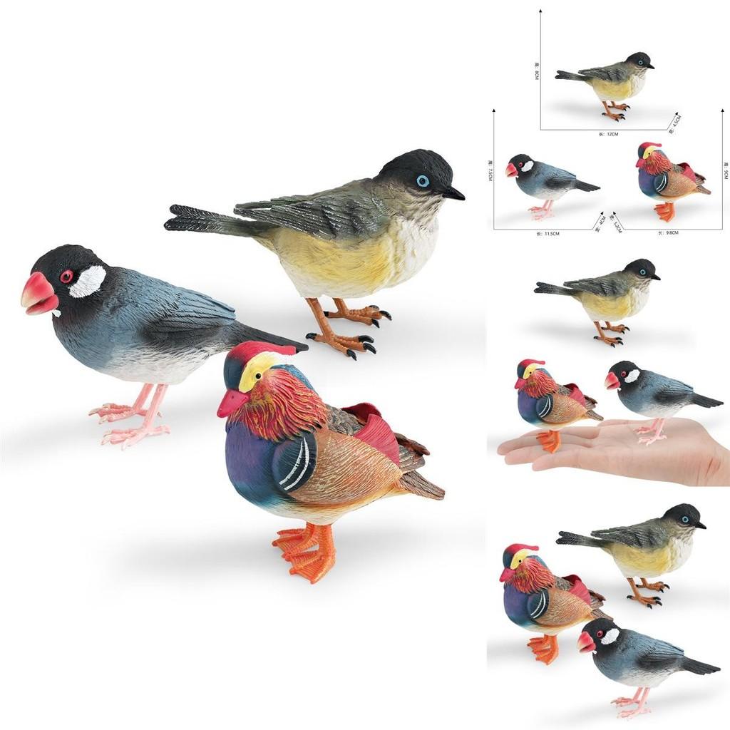 Animal Figure Desk Ornament With Static Design For Science Education And Bird Lovers