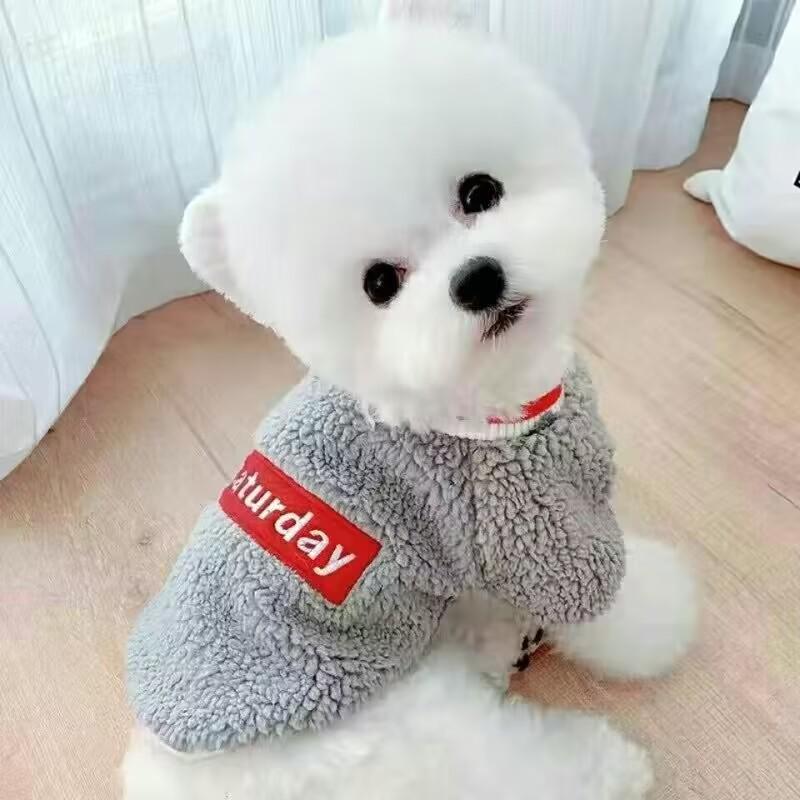 Осенне-зимний свитер с медведем для пуделей, французских бульдогов, кошек, плюшевых собачек и собак мелких и средних пород