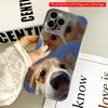 2DFlat Corgi Duo Selfie Blue Sky All inclusive film hard iPhone case, compatible with iPhone 18 Pro Max 17 16 15 14 13 12 11