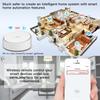 Умный шлюз Graffiti ZigBee Bluetooth с голосовым управлением, совместимый с Alexa и Google Home