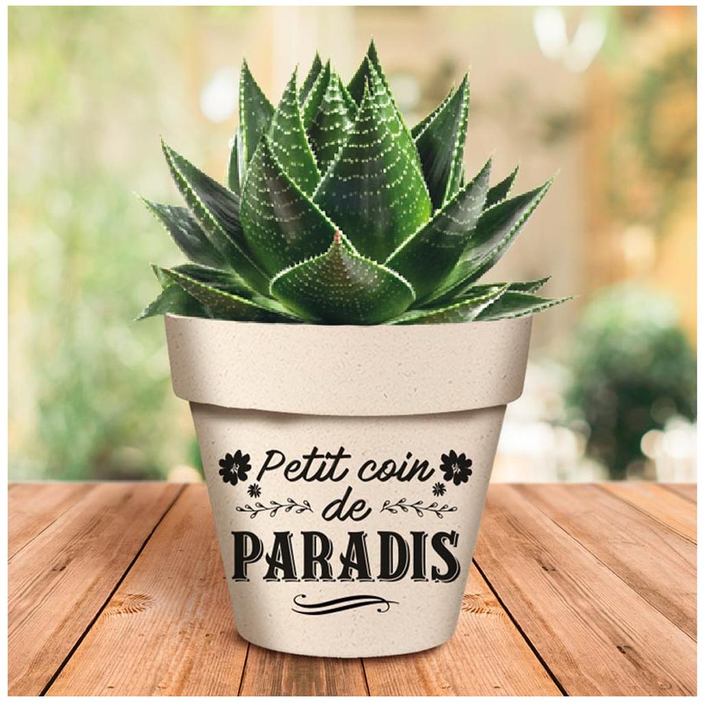 Les Trésors De Lily [R6634] - Bamboo Planter 'Messages' Beige Black (Little Piece of Heaven) - 17x15cm