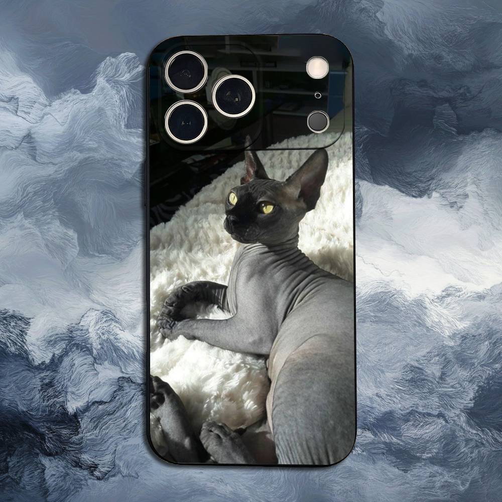 Чехол для iPhone 11,12,15,14,13,16,17,Plus,Pro Max,XS,X,XR,SE,Mini,8,7 с изображением кошки породы Сфинкс, Мягкий силикон, Черный