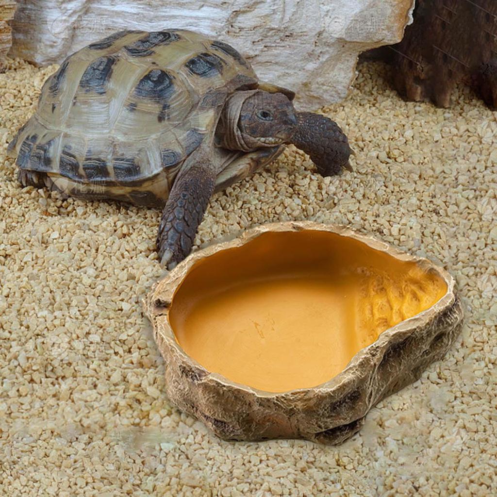 Коробка для разведения, резервуар для воды, прочная среда обитания для инкубации, большая вместимость, многоцелевой игровой водный питомец