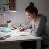 LED Reading Lamp USB Charging Night Light Foldable Desk Lamp  School Prize