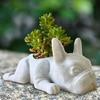 French Bulldog Planter Pot Resin Statue Figurine Succulents Herb Plants Flower Pot Container Home Balcony Garden Decoration