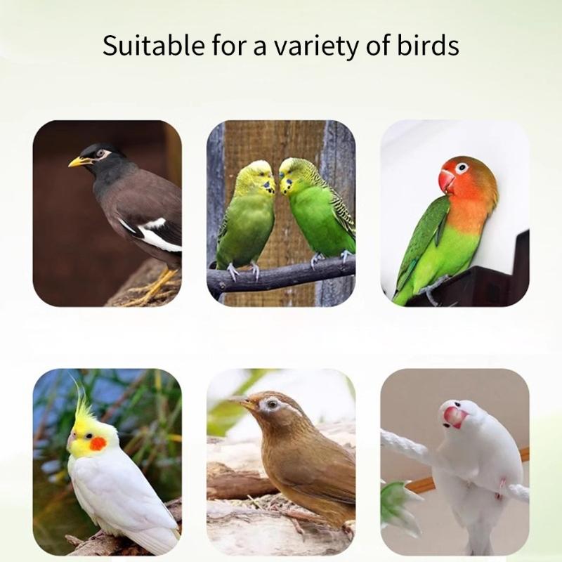 Parrots Cage Feeders Hollows Bird Food Holder with Hook Mounting for Easy Refill Chew Resistant Millets Storage for Parakeets