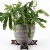 3Pcs/set Weather Resistant Small Animal Ornaments Animal Flower Pot Stand  Vases Decor