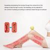 10W Ankles Therapy Massager Electric Legs Massage Air Compression Leg Cover Calf Relaxation Health Care Pain Relaxation Waist Leg Pump Wraps Foot