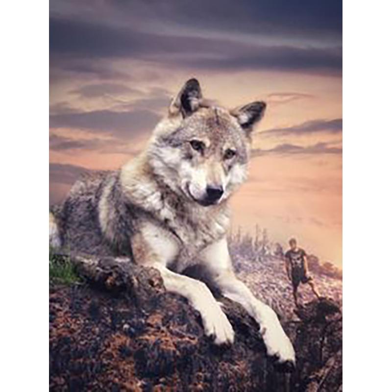 5D алмазная живопись волк животное смола картина DIY полная алмазная вышивка мозаика ручная работа художественная живопись подарок настенное искусство домашний декор