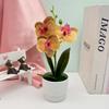 Faux Flowers Three Butterfly Orchid Green Plant For Home Decoration Office