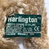 [USED] Harlington RUSS Teddy Bear