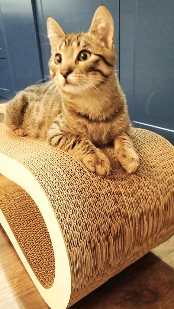 Leon cat scratching post | white | 78x28x24 cm | MruuPruu