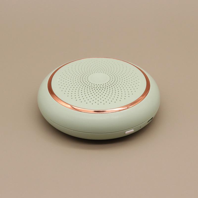 Холодильник Дезодоратор Очистка воздуха Шкаф для обуви Озоновый стерилизатор Автомобильный дом двойного назначения