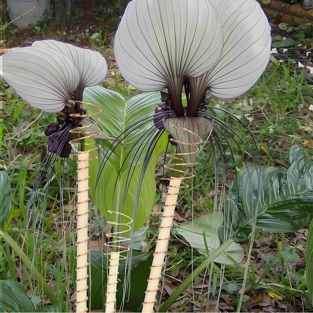 6шт 11,8-дюймовые колья для электрокультуры для выращивания садовых растений и овощей