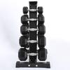 TLXT Solid Cast Iron Fixed Dumbbell