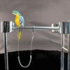Outdoor For Lovebird/Cockatiel/Macaw Pet Supplies Training Rope Parrot Harness Bird Training Leash