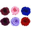 6шт/кор. 5-6см сохранившийся цветок бессмертная роза DIY Валентина свадебный праздник подарок